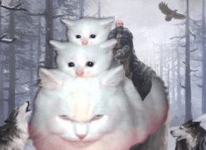 varamyrridingkittens
